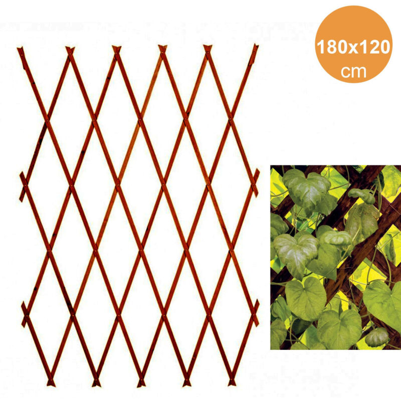 foto del prodotto trade shop traesio traliccio rete estensibile legno scuro per parete da giardino piante 180x120cm 