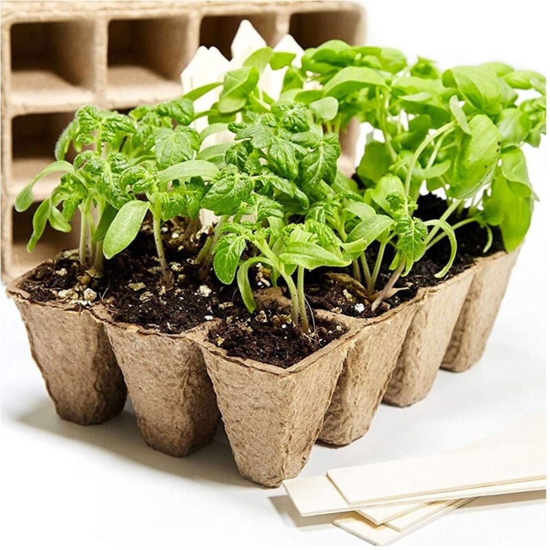 foto del prodotto trade shop traesio vasi vasetti biodegradabili per piantine piante fiori semenzaio 40pz 6x6x4.5cm 