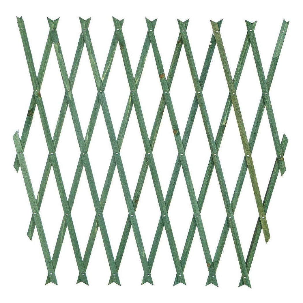 foto del prodotto trade shop traliccio rete estensibile in legno verde per parete da giardino piante 100x200 
