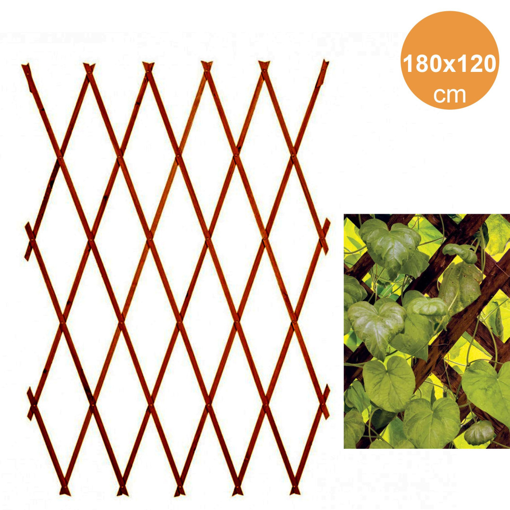 foto del prodotto trade shop traliccio rete estensibile legno scuro per parete da giardino piante 180x120cm 