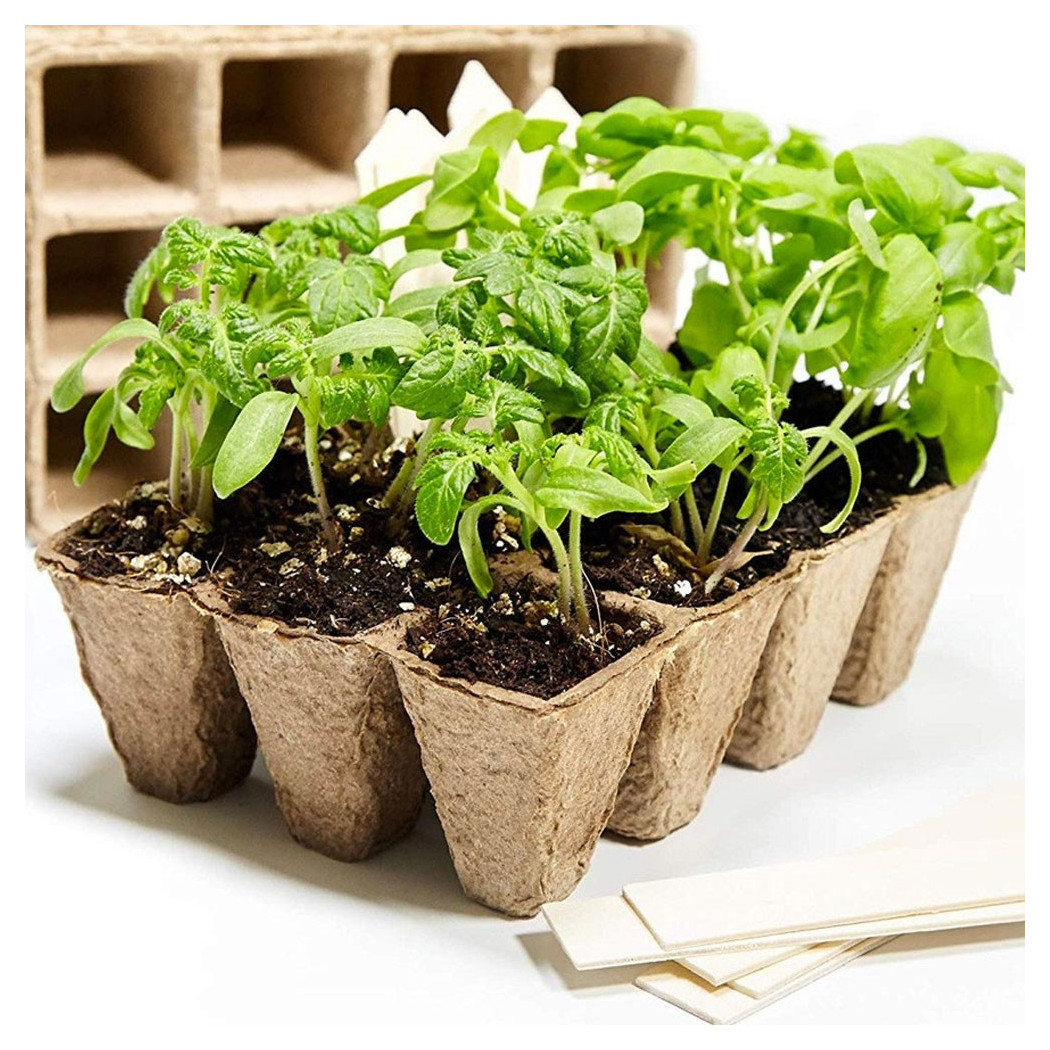 foto del prodotto trade shop vasi vasetti biodegradabili per piantine piante fiori semenzaio 40pz 6x6x4.5cm 
