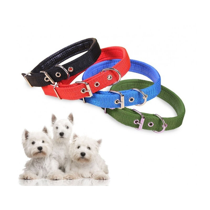 foto del prodotto traesio collare in nylon con imbottitura per cani piccola tg. chiusura fibbia regolabile trade shop
