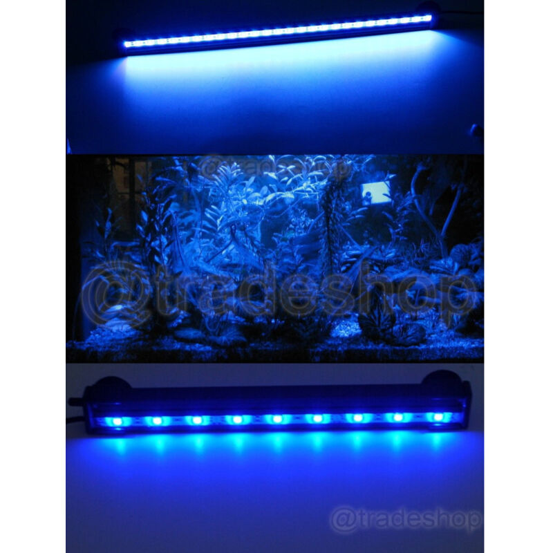 foto del prodotto traesio lampada immersione led per acquario tubo led t4 dee luce pesci bianca rgb blu blu 20 cm trade shop