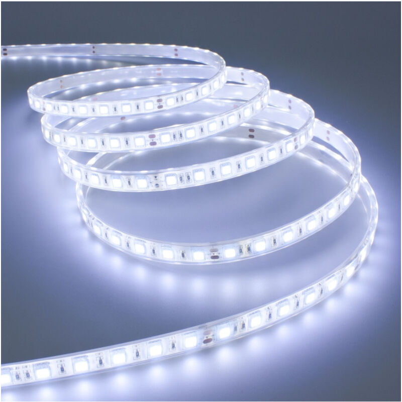 foto del prodotto traesio striscia led 5 mt smd5050 bianco caldo freddo naturale neutra impermeabile 12v bianco freddo 1 ampere trade shop
