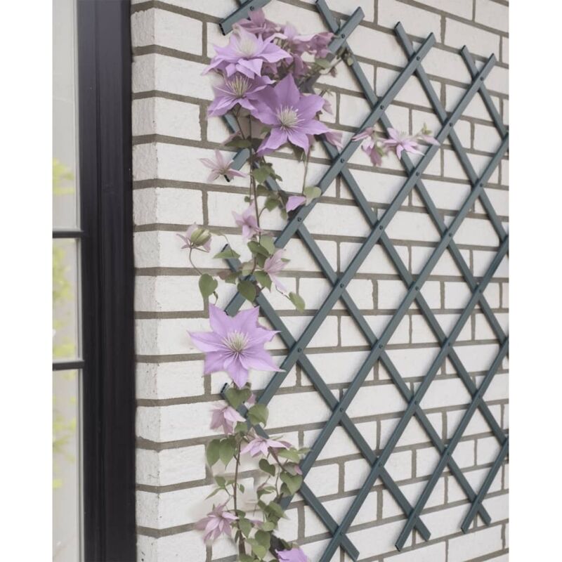 foto del prodotto traliccio da giardino 50x150 cm in pvc antracite nature