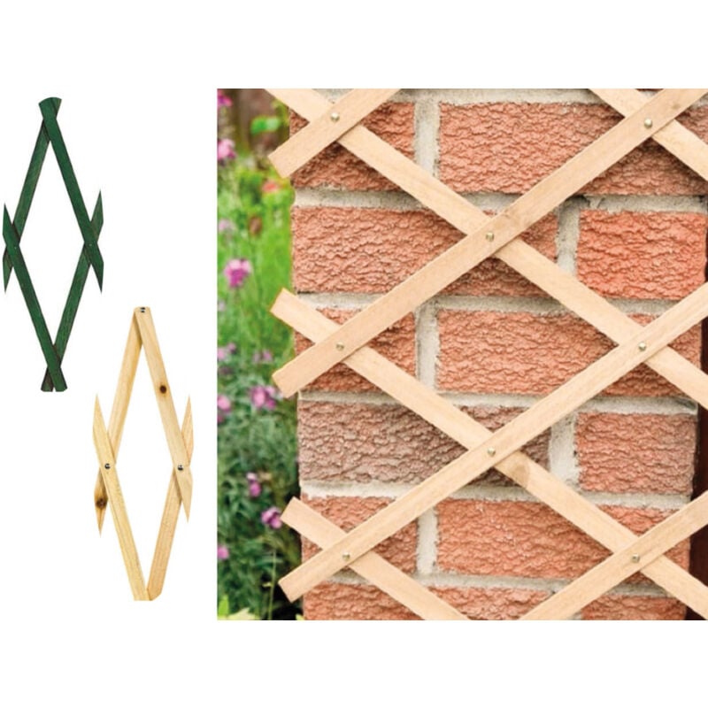 foto del prodotto traliccio estensibile in legno per piante rampicanti recinzione giardino balcone, misura100x200coloreverde