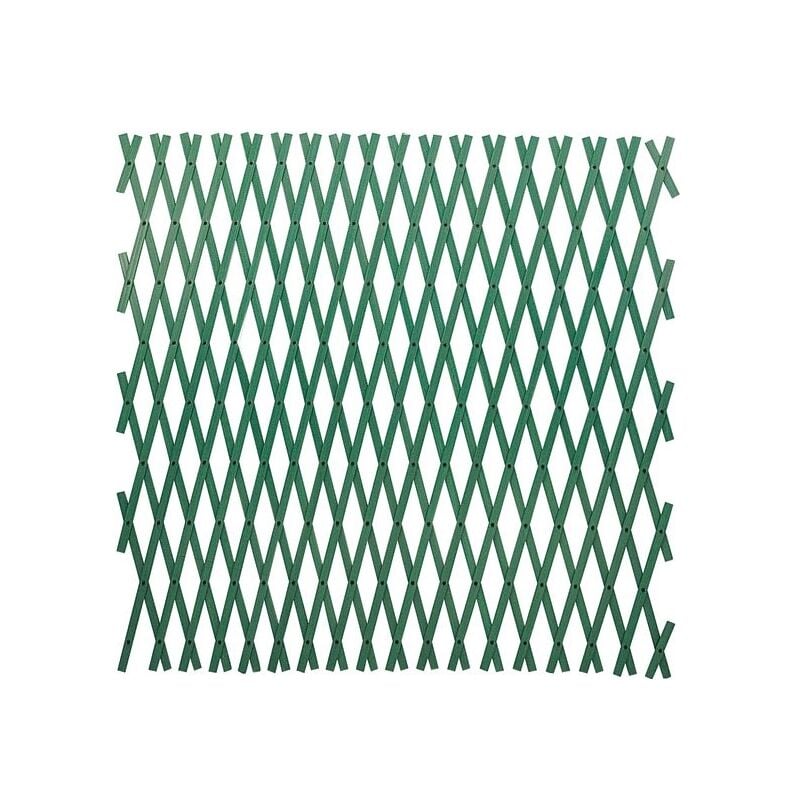 foto del prodotto traliccio estensibile in pvc colore verde 2x1 mt tipo rinforzato