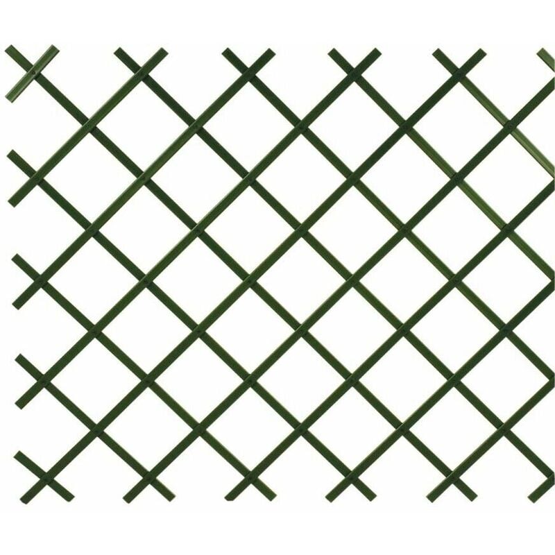 foto del prodotto traliccio estensibile in pvc verde sostegno plastica piante rampicanti 2x1 3x1 misure 3 x 1 mt