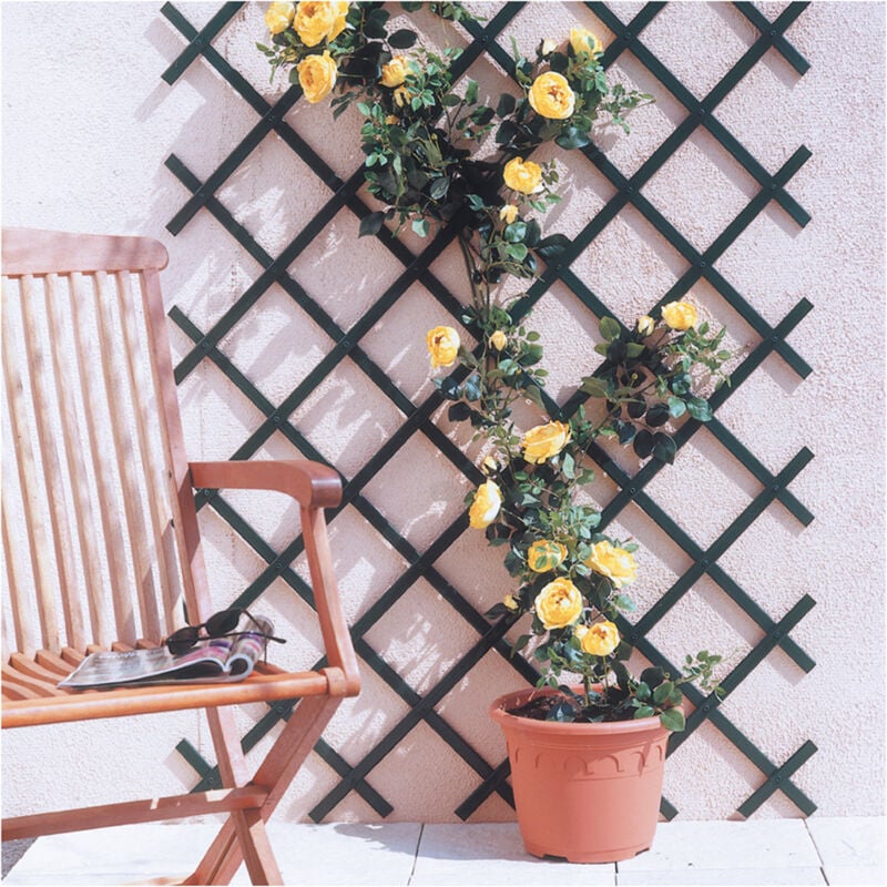 foto del prodotto traliccio estensibile pvc 1x2mt