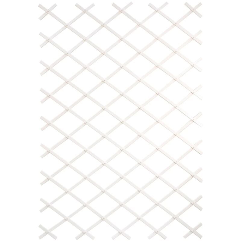 foto del prodotto traliccio esterno pvc 3x1m bianco