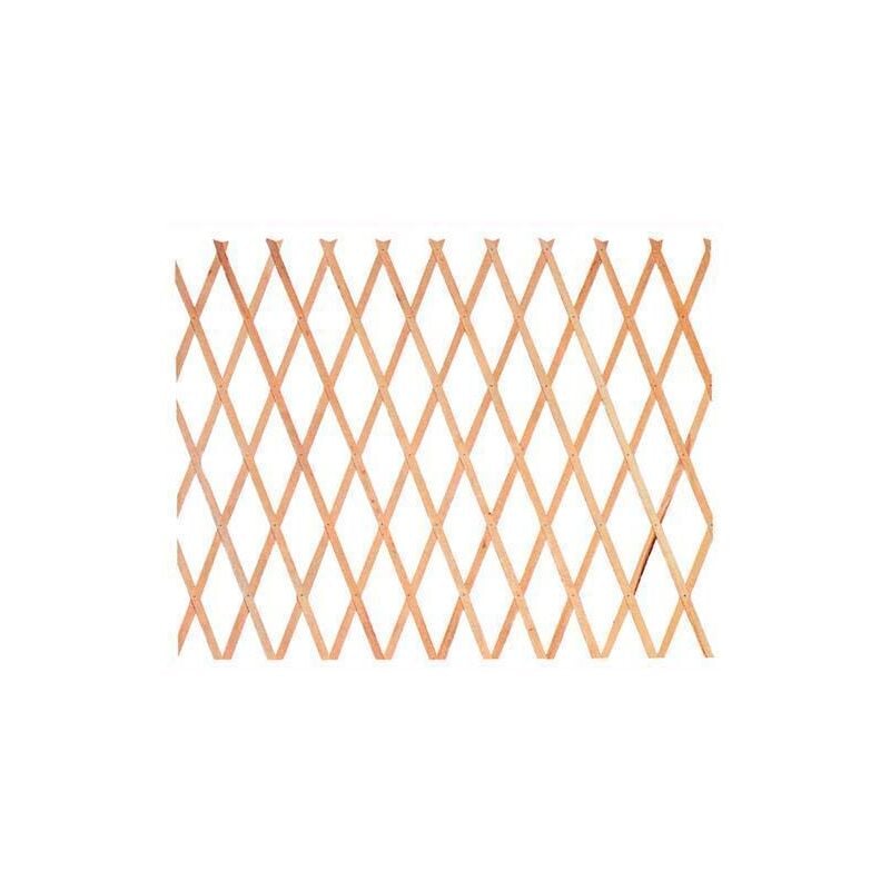 foto del prodotto traliccio grigliato in legno estensibile per esterno - 200xh100 cm