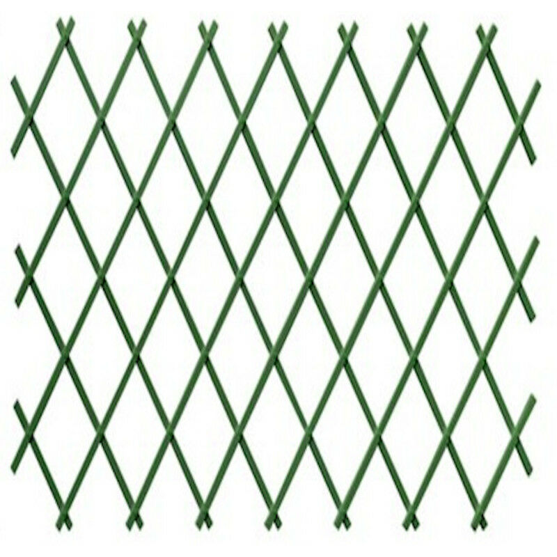 foto del prodotto traliccio plastica 1x2 m 100 pvc verde tutor di piante resistente decorazione giardino