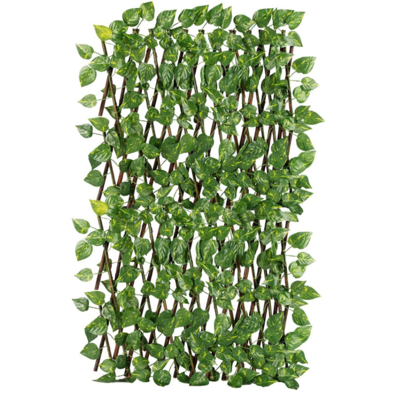 foto del prodotto traliccio potos foglie rampicante verde frangivista recinzione giardino balcone 1x2mt