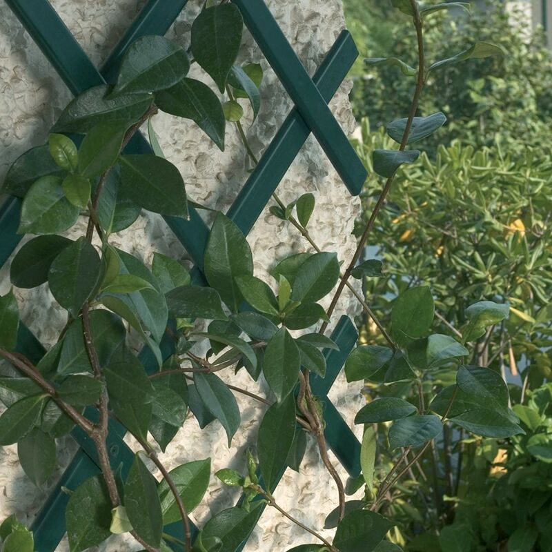 foto del prodotto traliccio verde treplast misure assortite size 1x1 mt