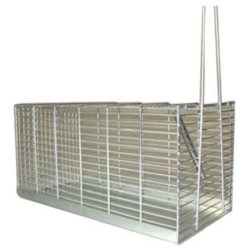 foto del prodotto trappola per topi 200 mm piccola cilli