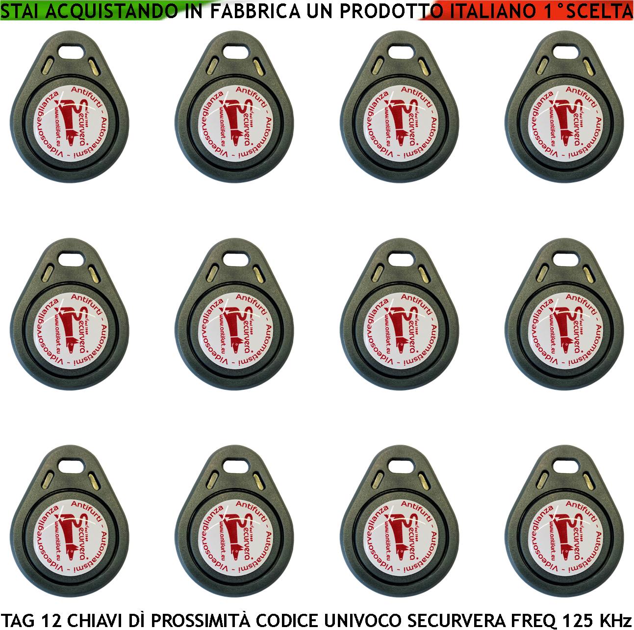 foto del prodotto trasponder di prossimità dodici chiavi alta sicurezza codice di base securvera univoco em-4100 frequenza di lavoro 125khz rfid codici generati random tag alimentazione x induzione con foro portachiavi