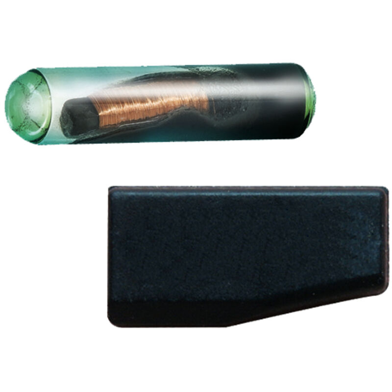 foto del prodotto trasponder silca t128c c04114