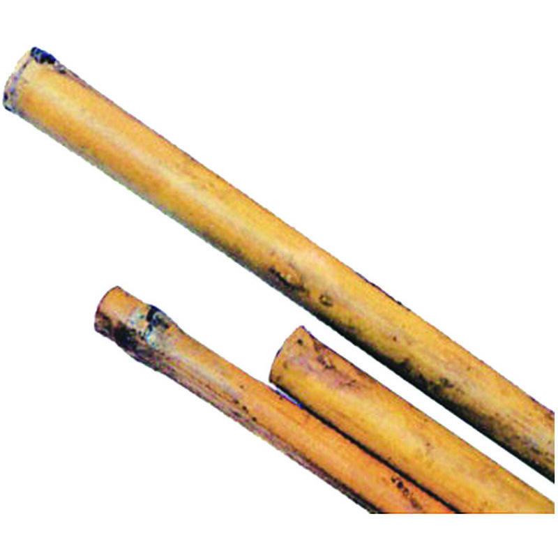 foto del prodotto trex canna bamboo mm.24 26 h.180