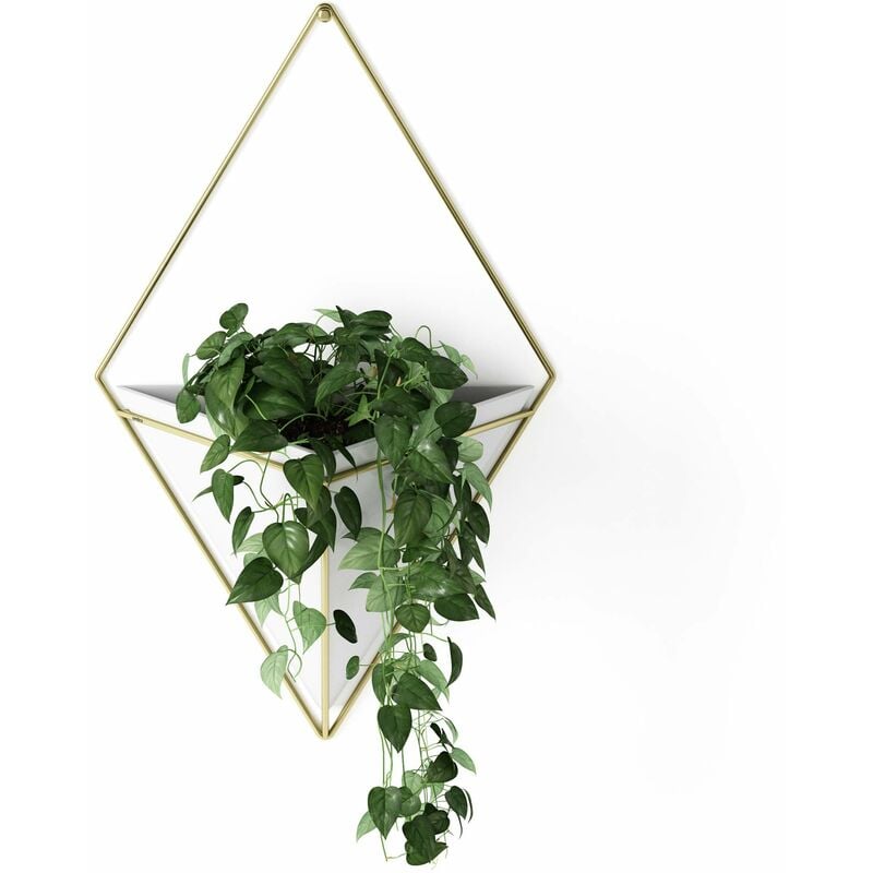 foto del prodotto trigg vasi da parete, vasi da appendere al muro, grande, bianco ottone umbra
