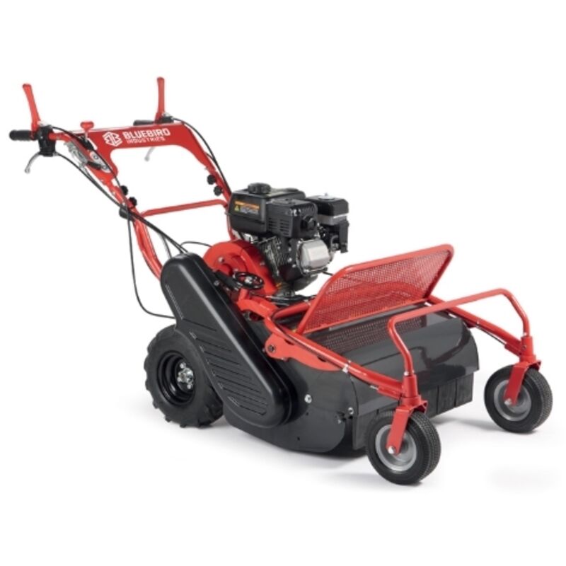foto del prodotto trinciasarmenti a scoppio blue bird fm 600 taglio 60 cm motore 252 cc