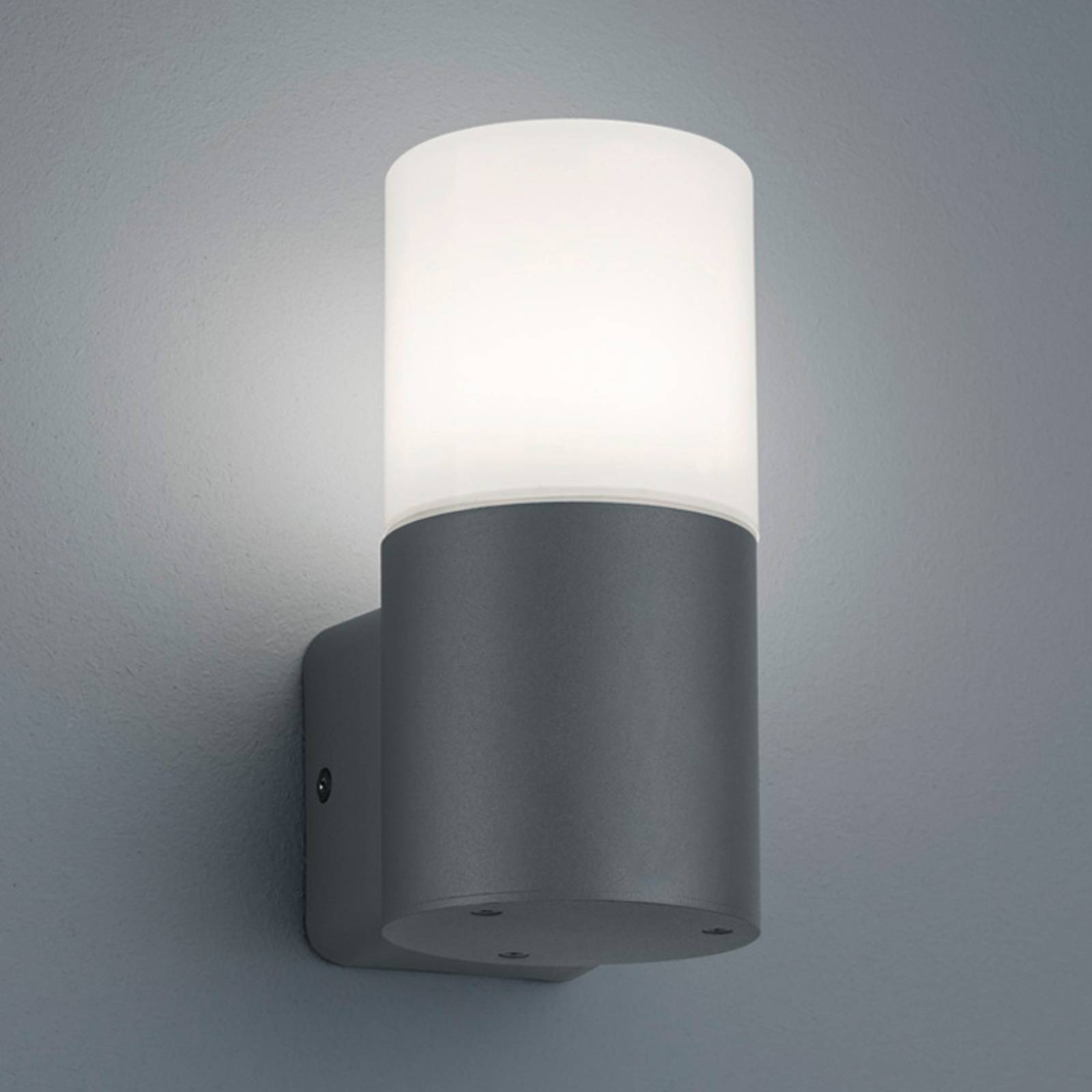 foto del prodotto trio lighting applique da esterni hoosic 1 luce, antracite