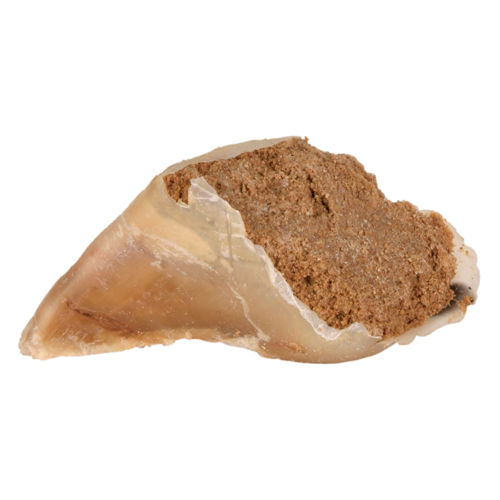 foto del prodotto trixie unghie di manzo ripiene snack per cane 5 pz da 115 g