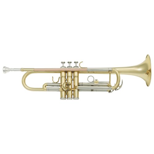 foto del prodotto tromba vsm tp300 sib 14600432