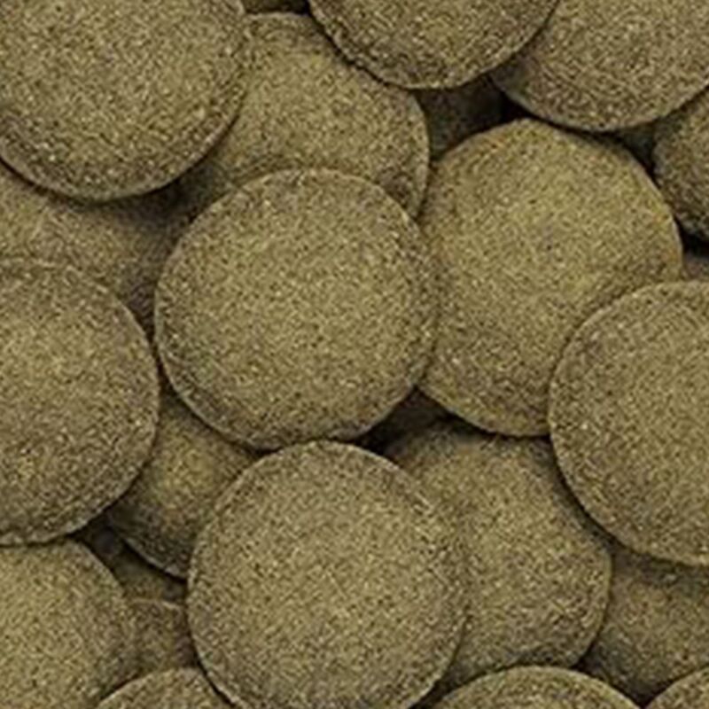 foto del prodotto tropical algae wafers mangime per plecostomus e altri mangiatori di alghe formato 20 gr hikari
