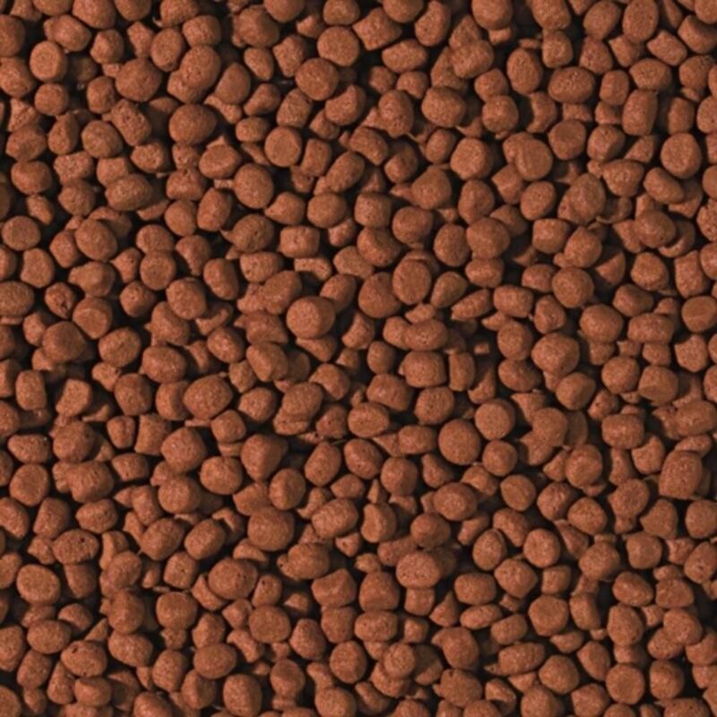foto del prodotto tropical cichlid carnivore medium pellet formato 1000 ml