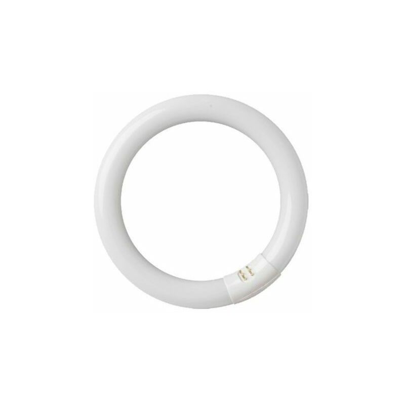foto del prodotto tubo fluorescente circolare 22w t9 6400k gsc 2000589