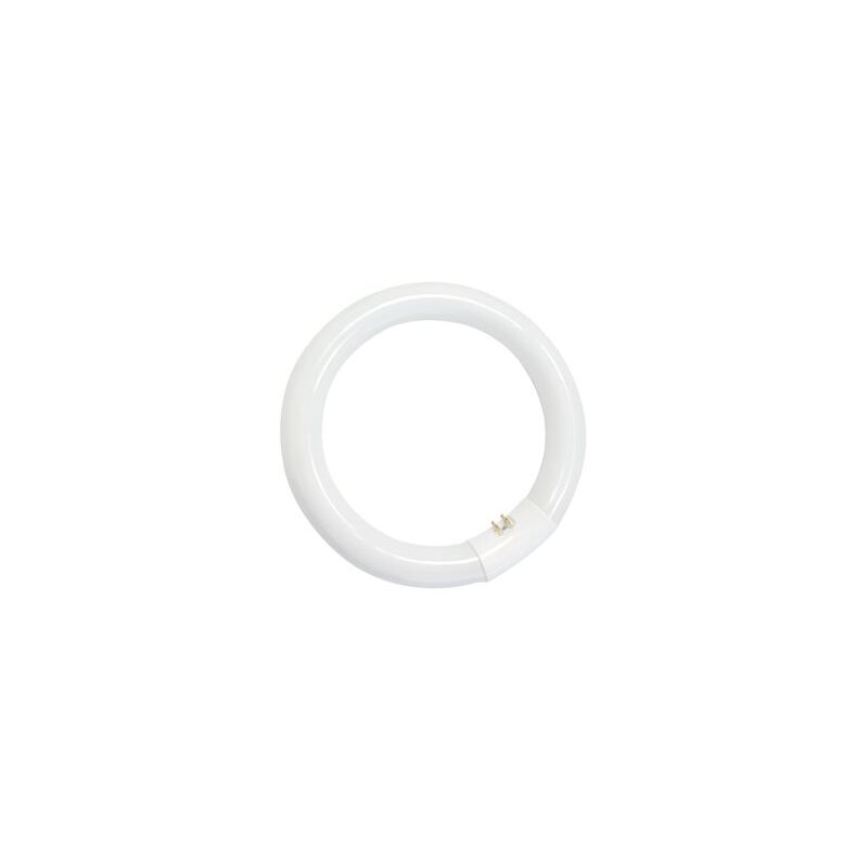 foto del prodotto tubo fluorescente circolare 32w t9 6400k gsc 2000590