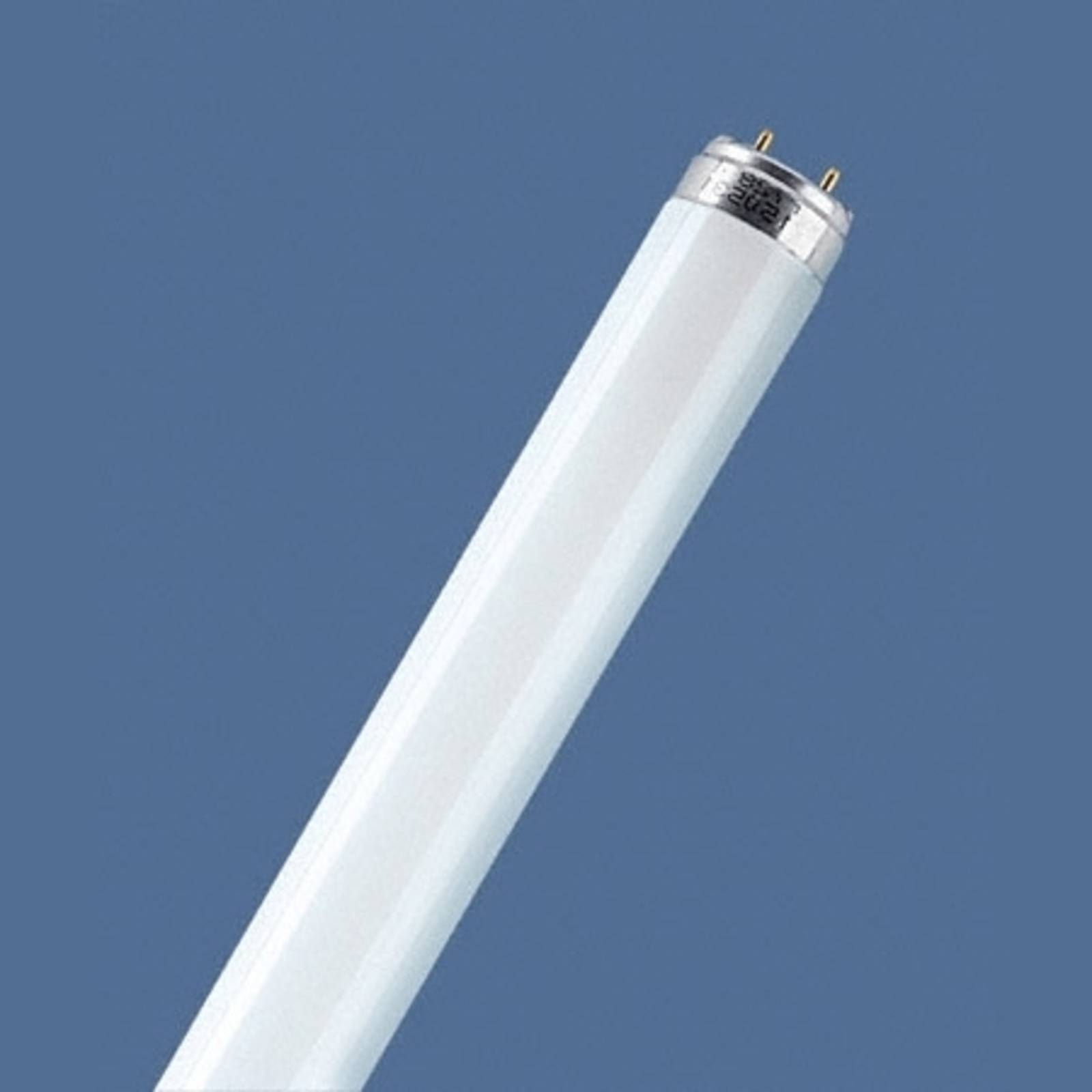 foto del prodotto tubo fluorescente osram lumilux, g13 t8, 59 cm, 4.000 k 18 w
