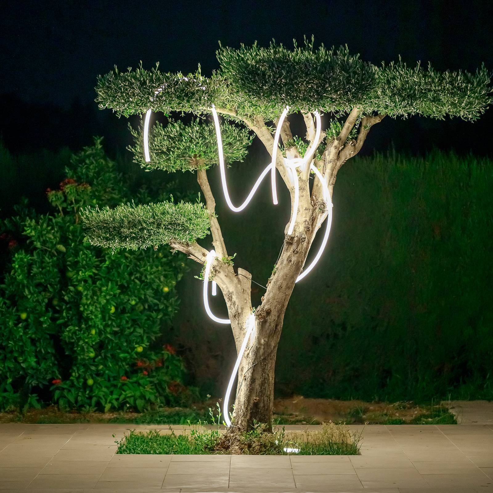 foto del prodotto tubo luminoso led newgarden neo, 3 m, ip65, 3000 lumen