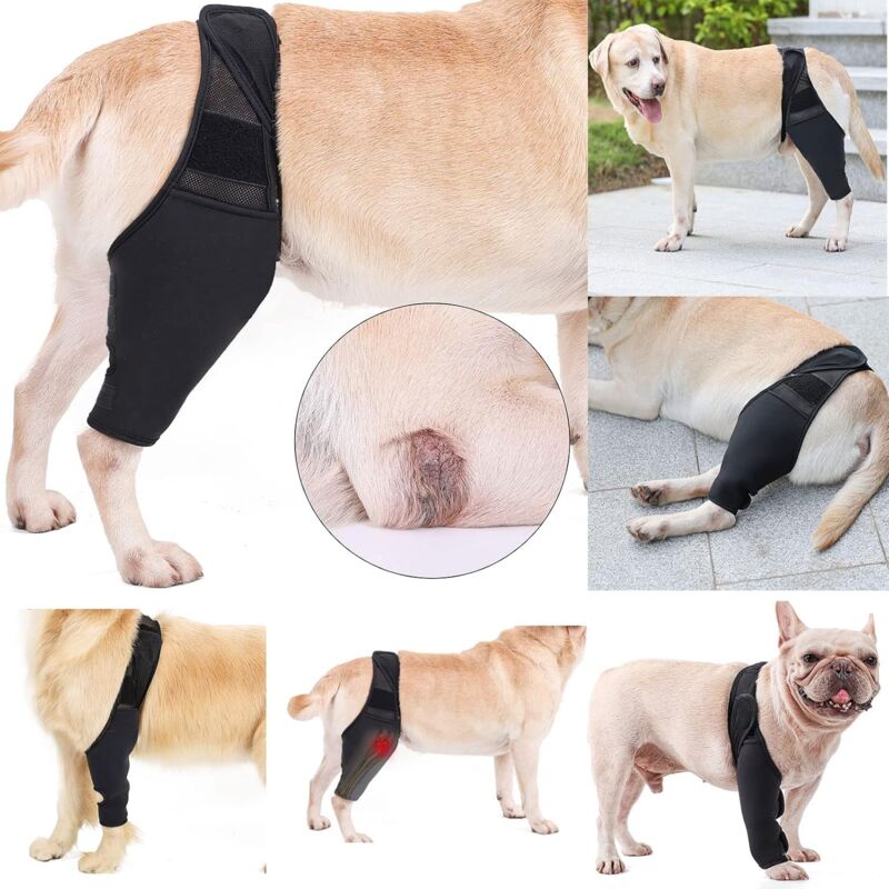 foto del prodotto tutore per ginocchio per cani, ginocchiere per animali domestici, fascia per gambe, tutore per gomito anteriore e posteriore per cani, protezione per