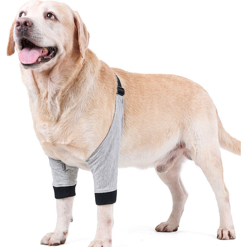 foto del prodotto tutore per il recupero della zampa anteriore del cane tutore per il recupero della zampa anteriore del cane tutore per il ginocchio per cani di