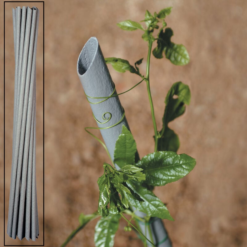 foto del prodotto tutore pvc x piante vigna d.27x180h