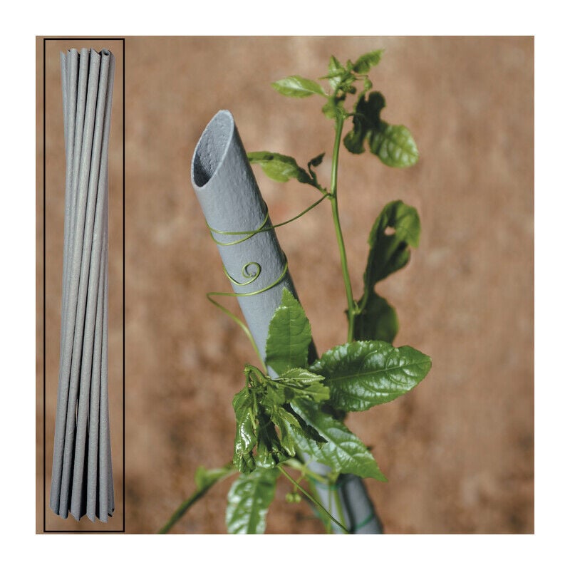 foto del prodotto tutore pvc x piante vigna d.27x180h. prezzo per 1 pezzo.