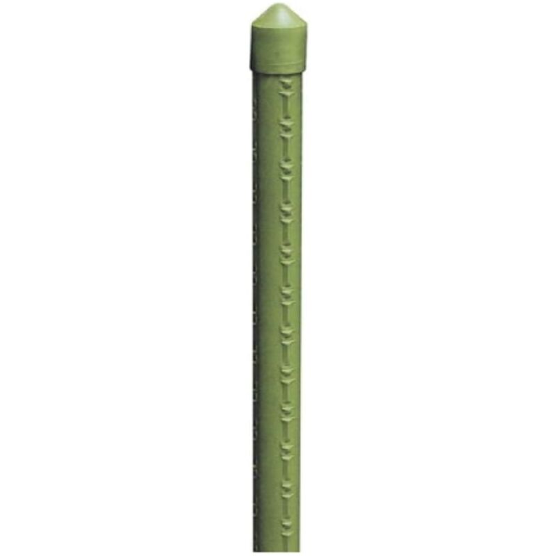 foto del prodotto tutore sostegno cannetta in bamboo plastificato per giardino 16 18 mm 1,50 mt piante ortaggi