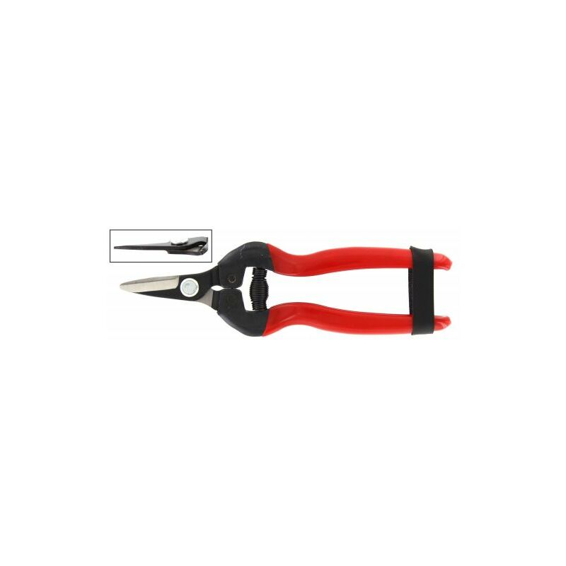 foto del prodotto tuttacasa forbici per uva lame dritte corte rif.21095