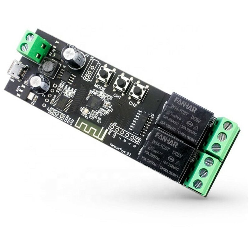 foto del prodotto tuya smart wifi modulo rel 2ch