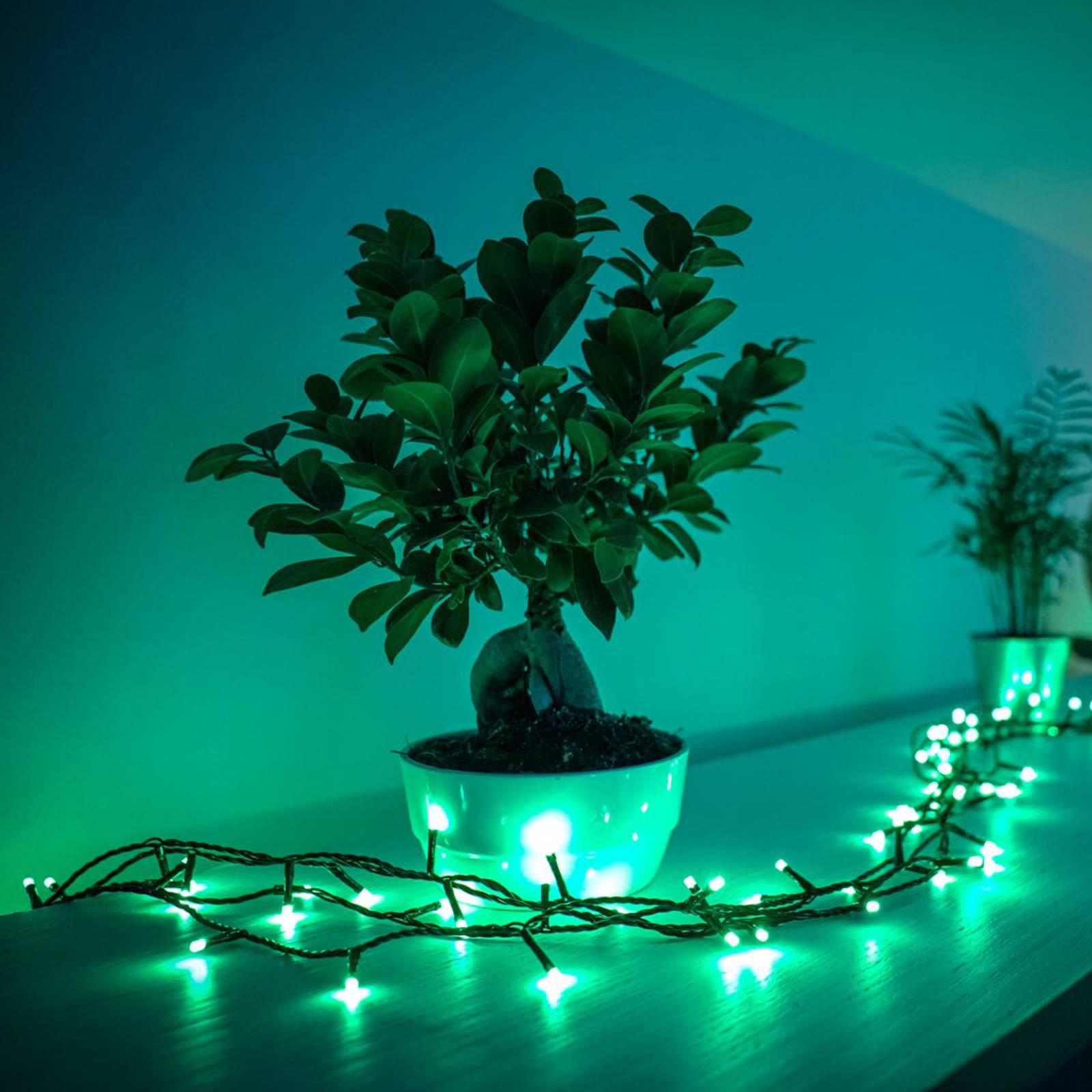 foto del prodotto twinkly ghirlanda luminosa rgb, nera, 250 luci 20m