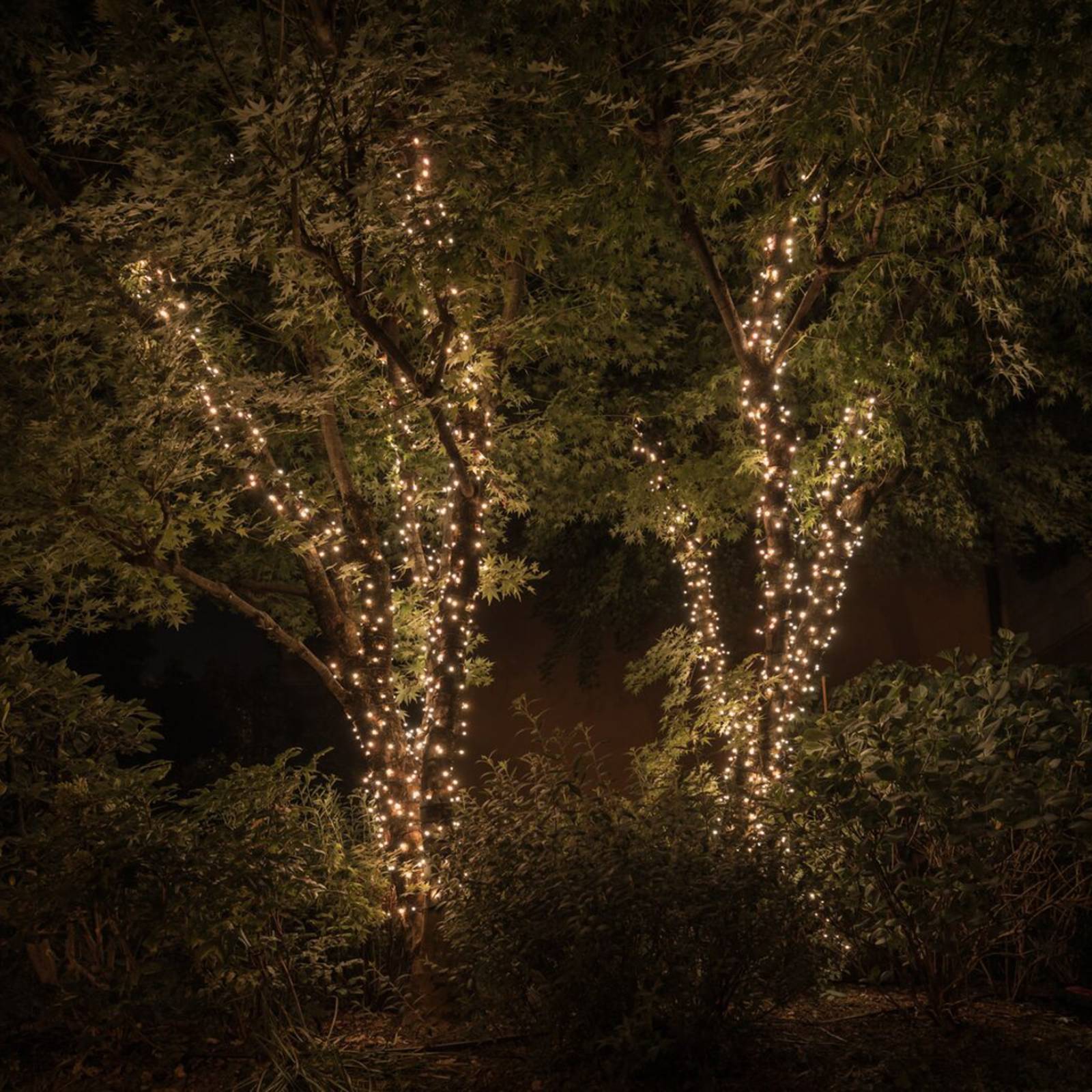 foto del prodotto twinkly rgbw ghirlanda luminosa, 250-fl. 20m trasparente