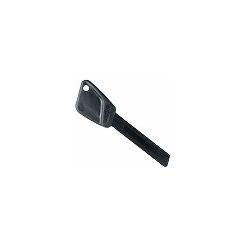 foto del prodotto urmet chiave elkron 80dk1700111 per dk20