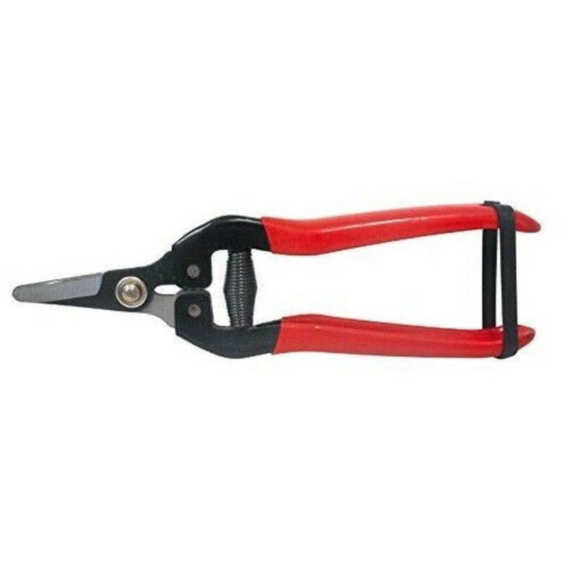 foto del prodotto utilia forbici cogliuva lama dritta cm. 19 utilia 10 pz