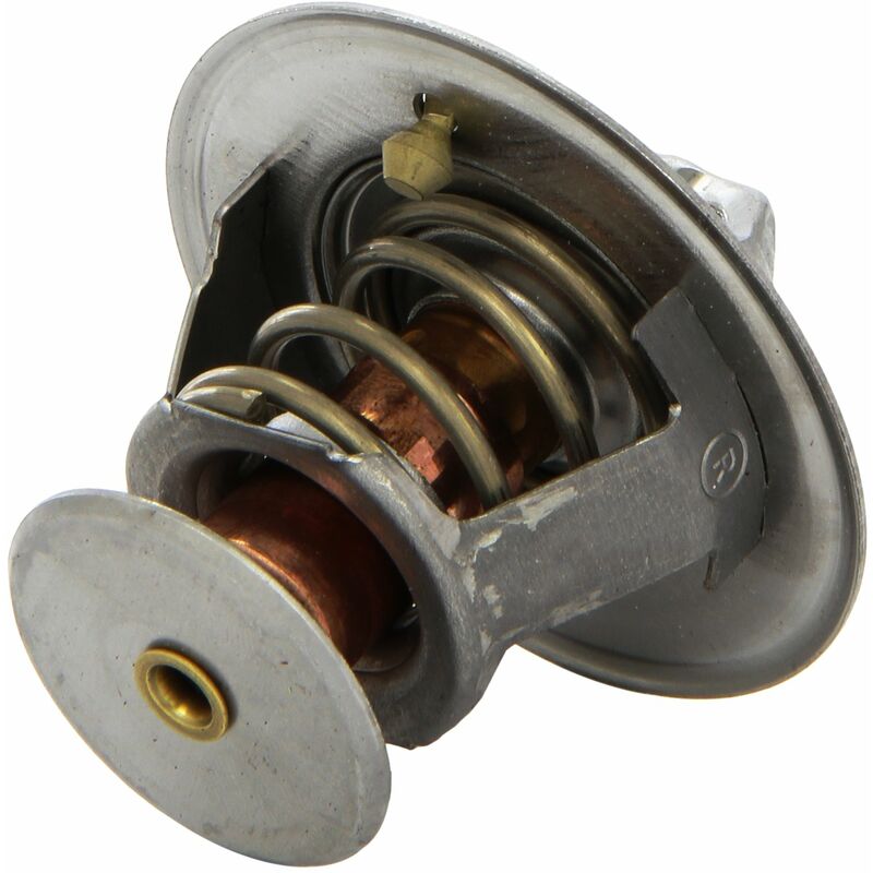 foto del prodotto va819864 termico, valeo