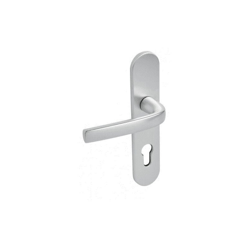 foto del prodotto vachette maniglia per porte budget con piastra argentata, interasse 165 mm, chiave l