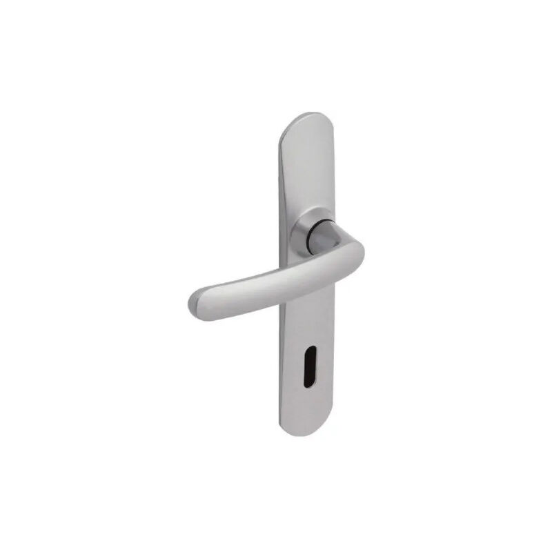 foto del prodotto vachette maniglie per porte con piastra, interasse 165 mm, chiave l, cromata a specchio