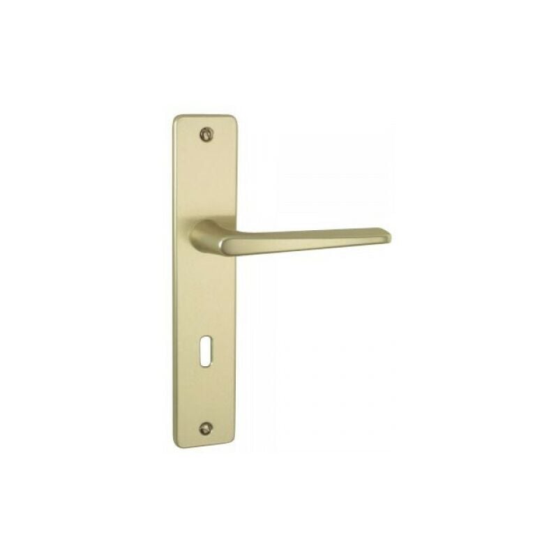 foto del prodotto vachette set di porte riviera 90 bezault interasse 195 mm champagne chiave l 0072836