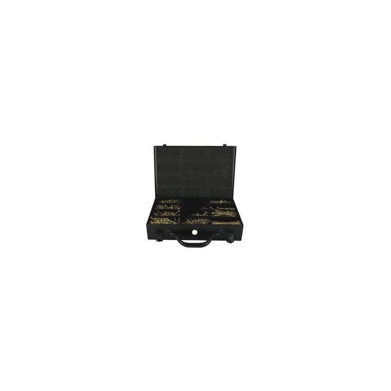 foto del prodotto valigetta di 1350 viti a testa svasata vynex abi 3 punte incluse 3514000931013