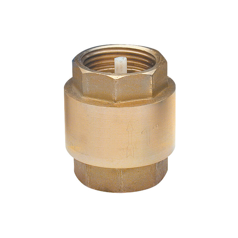 foto del prodotto valvola anti ritorno doppio femmina f26x34 noyon thiebault